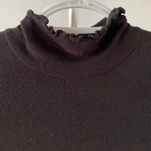 Aritzia Wilfred Only Turtleneck